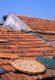 China: Prawns drying on a roof in the ‘Water Town’ of Zhouzhuang, Jiangsu Province